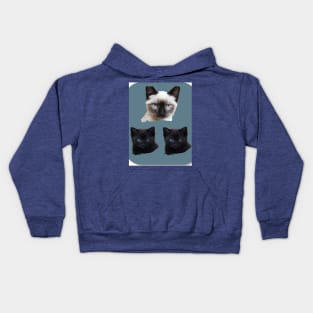 kittens Kids Hoodie